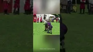 Robin Hood vs. Sir Albert 2014