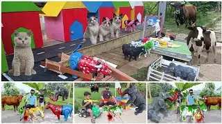 AMAZING 🐄 🐮 SIMULASI WADIDAU 6‼️PROSES POTONG SAPI MOO KURBAN IDUL ADHA