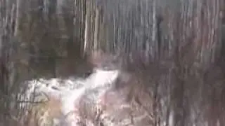 Petedog.wmv
