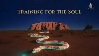 Training for the Soul: Survival, Snakes, and Synchronicity in the Australian Outback