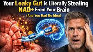 Breaking: Scientists Link Bad Gut Bacteria to Alzheimer's Energy Crisis