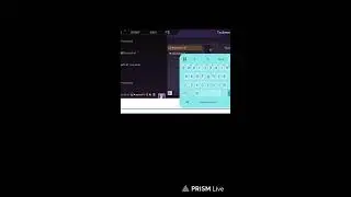 Live streaming of THE N4