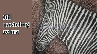 How to draw and colour a zebra using oil pastels
