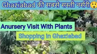 Aursery Visit With Plants Shopping 🥰/ Come Plant Shopping To a Nursery with me in Ghaziabad