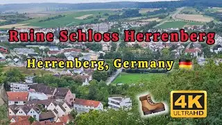 Ruine Schloss Herrenberg | From Street to Summit: A surprise hike! 🥾 🏞