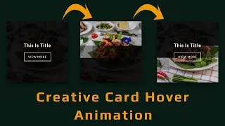 CSS Animated Image / Card Hover Effect Using Pure CSS  02 | #DeveloperHub