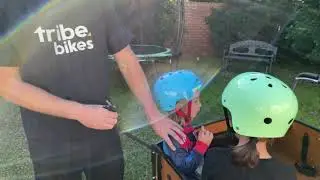 Securing children in the Tribe Bikes cargo box