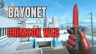 CS2 Bayonet Knife Crimson Web FN