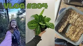 VLOG #204 - Meal prep, une rando en solo & nouvelle plante
