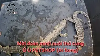 Mời đo&agrave;n m&igrave;nh nu&ocirc;i th&uacute; cưng | B&ograve; s&aacute;t - &Uacute; &Ugrave; PETSHOP (AI Song)
