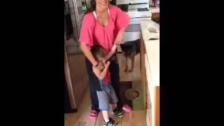 Force feed