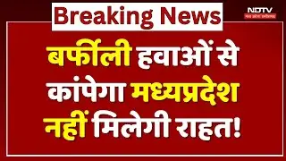 MP Weather Alert: भीषण ठंड का दौर, बड़ा अलर्ट जारी! | Winter | Cold Wave | MP | Latest News | MPCG