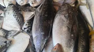 Sunday Morning On Colaba Fish market part 1