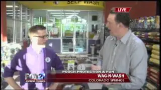 FOX21 Mornings Goes to the Dogs - 6Hr