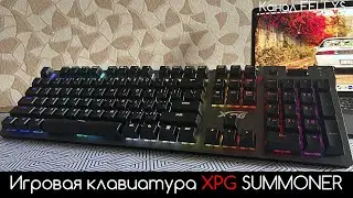 Обзор XPG Summoner  Игровая клавиатура с RGB и Cherry mx переключателями!