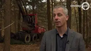 Al 130 damherten geschoten in het Deelerwoud: 'Damherten zijn net konijnen.'