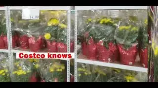 Costco knows Lunar New Year