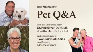 September 2025 Live Pet Q&A with Dr. Rob Silver DVM MS, Joni Kamlet RVT, CCRA & Two Crazy Cat Ladies