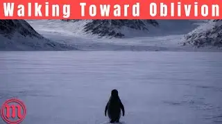 The Nihilist Penguin Meme Explained