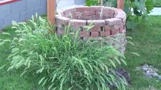 caribbean's garden landscaping
