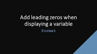 SDAS Stata TechTok - Format leading zeros