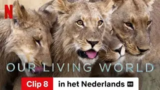 Our Living World (Seizoen 1 Clip 8 ondertiteld) | Trailer in het Nederlands | Netflix