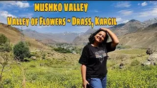 MUSHKO VALLEY ~ Valley of Flowers of Drass, Kargil