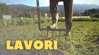 ORTO A FEBBRAIO Lavori + Ampliamento Della Produzione