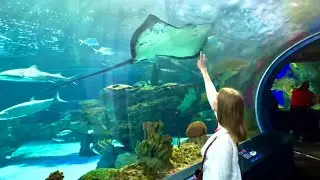 🇨🇦 TORONTO, Canada: AQUARIUM || Visiting the Ripley's Aquarium of Canada || Toronto, Summer 2023