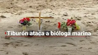 ¡LE DEVORÓ UNA EXTREMIDAD! | Tiburón ataca a bióloga marina en Cihuatlán, Jalisco