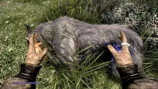 Nix hound is my son