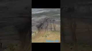 Negdje u pustinji