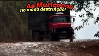 As Muriçocas  mais  brutas no modo destruição  (part 2)