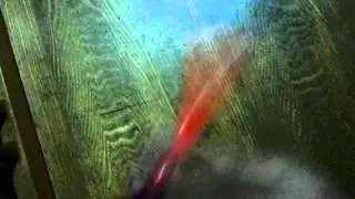 FS015