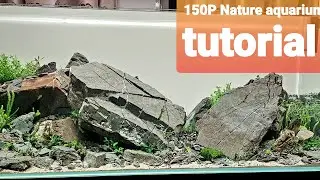 150P Beautiful Ivagumi Nature Aquascaping Tutorial by Poland aquarist Adam Pascezela
