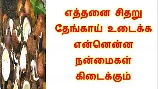 எத்தனை சிதறு தேங்காய் உடைக்க என்னென்ன நன்மைகள் கிடைக்கும்