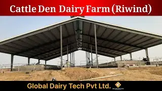 Cattle Den Dairy Farm (Riwind) Completed Project By Global Dairy Tech Pvt Ltd