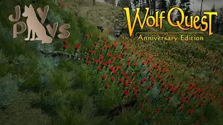 WolfQuest: Hurricane's Quest #12