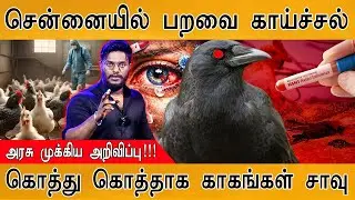 சென்னையில் பறவை காய்ச்சல் | அரசு முக்கிய அறிவிப்பு! | கொத்து கொத்தாக காகங்கள் சாவு | Bird Flu | Crow