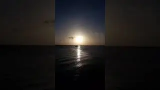 I love Roat&aacute;n 💜