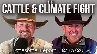 Cattle 