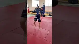 Силовая защита от гильотины 😅