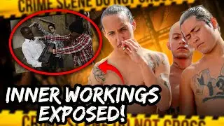 Street Gangs: Inside Law Enforcement's Battle Against Organized Crime | Campfire Crime Tales