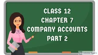 12th accountancy chapter 7 company accounts in tamil / savvy learner channel