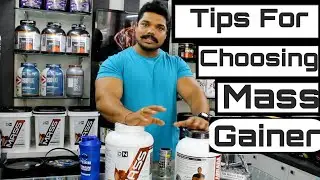 How To Choose The Right Mass Gainer (The Protein Store Pune)