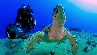 Orca Dive Club Safaga 2025