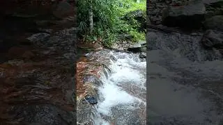📍Iritty, Kannur, Kerala #kannur #travel #explore #mallu #waterfall #india #monsoon #trip #iritty