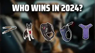 The Best Dog Seat Belts in 2024 - Must Watch Before Buying!