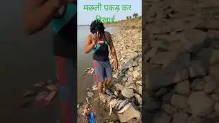 julmi road suket.mufassal raza.julmi road suket angler mufassal raza.julmi road suket kota rajasthan
