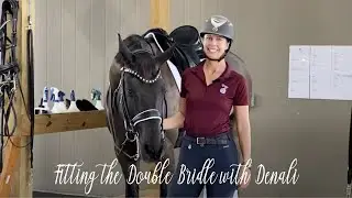 Fitting The Double Bridle with Denali